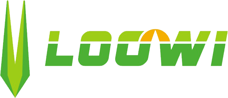 Loowi Toys