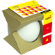 LWDSL100-13
